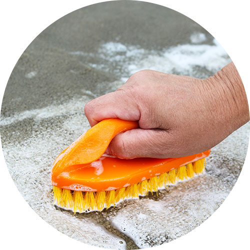 Carpet Odour Removal | Carpet Clean Expert