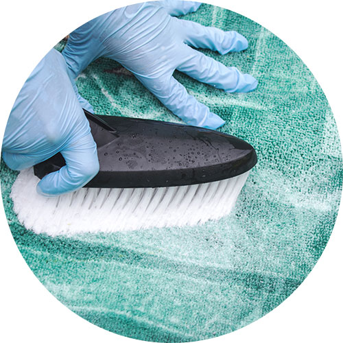 Carpet Shampooing | Carpet Clean Expert