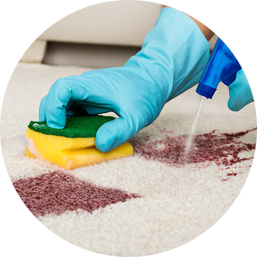 Carpet Stain Removal | Carpet Clean Expert
