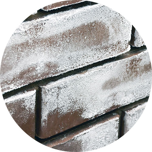 Efflorescence Treatment | Carpet Clean Expert