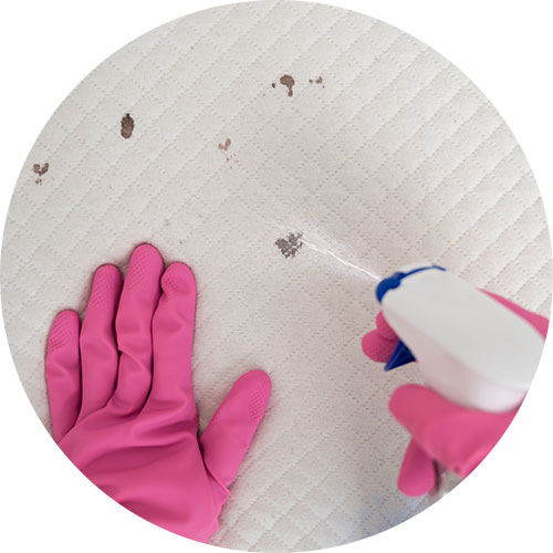 Mattress Stain Removal | Carpet Clean Expert