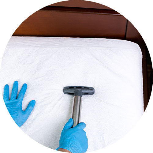 Mattress Steam Cleaning | Carpet Clean Expert