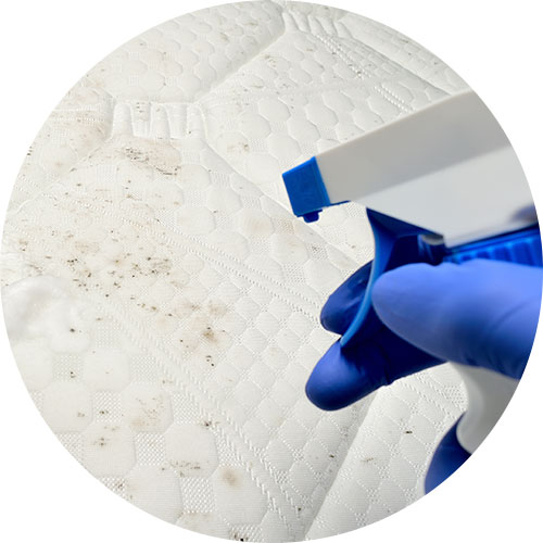 Mattress Mould Removal | Carpet Clean Expert