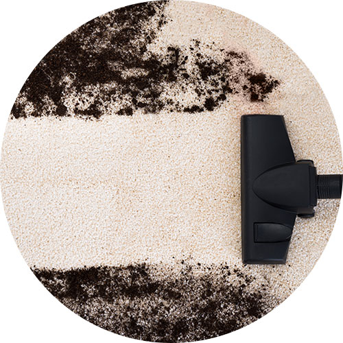 Carpet Mould Infestation | Carpet Clean Expert